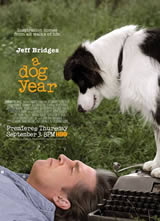  A Dog Year