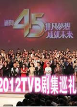 2012TVB缯Ѳ/2012TVBĿѲ񺣱