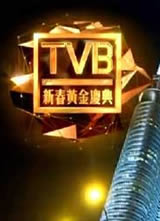 2013TVB´ƽ亣